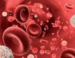 Interpretation of RDW-SD and RDW-CV values in the diagnosis of anisocytosis