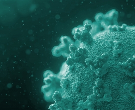 ACE2-RBD Neutralization Assay